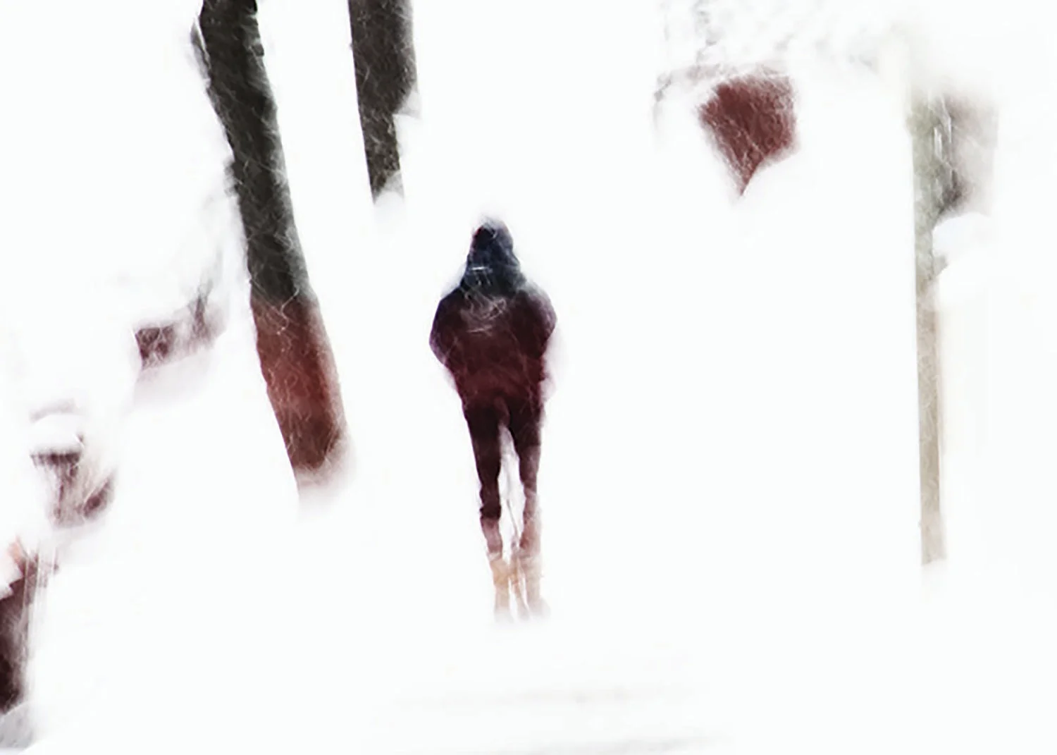 A solitary figure walking between dark tree trunks in a pale, snow-filled scene.